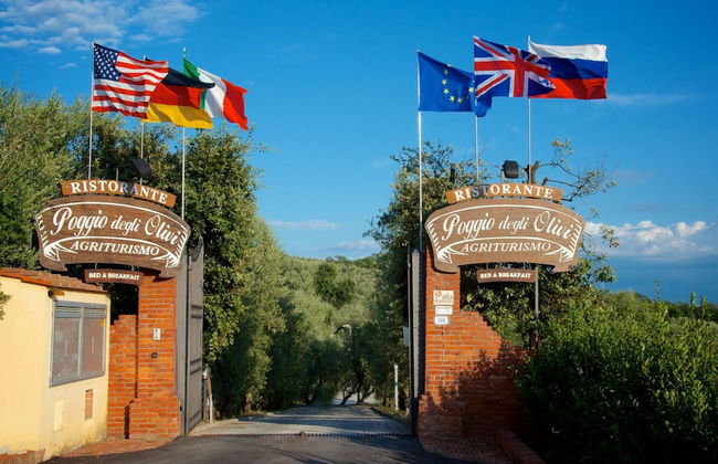 Poggio Degli Olivi - Photo 27