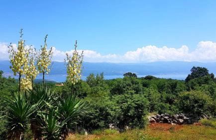 Hilltop Villa Risika - Foto 51