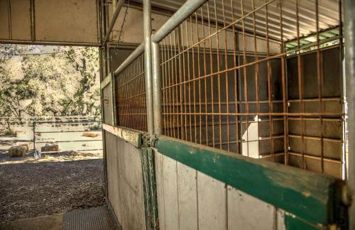 Harrison Serenity Ranch - Groups over 50 - Foto 43