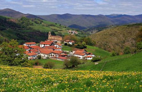 Apartamento Larrazu Agroturismo Baztán - Foto 58