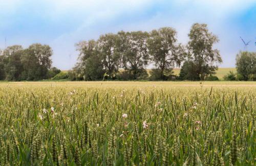 Sleep Space 3 - Green Tiny Spot Südpfalz - Foto 11
