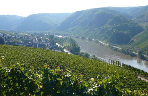 Ferienwohnung Rivaner - Foto 48