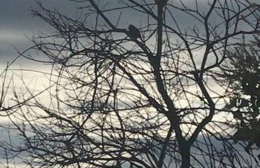 Macondo Chalés - Foto 56