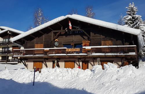 APPARTEMENT PLEIN SUD AUX SAISIES N°6 - Foto 22