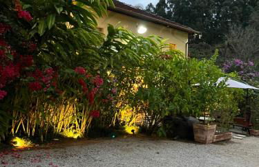 Vila Adega Maravilha - Foto 52