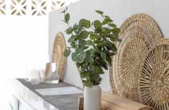 La Casa Bonita with large terras & plungepool - Photo 15