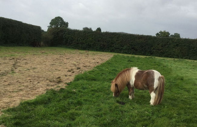 Impeccable Cottage Suitable for 2 Adults & 1 Child - Foto 25