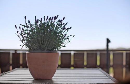 Ferienhaus Vogelsang - Foto 38