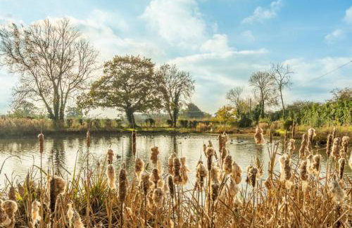 Cherry Tree Cottage GB 4 - Foto 30