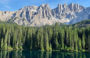 Garni B&B Apartments Plank - Foto 56