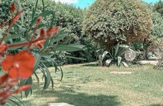 Petit Paradis Mazet - Photo 20