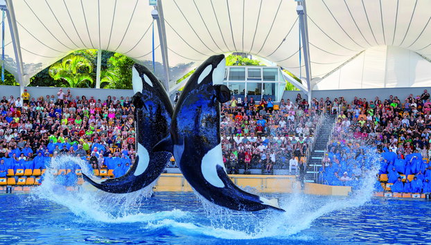 Loro Parque - Foto 2