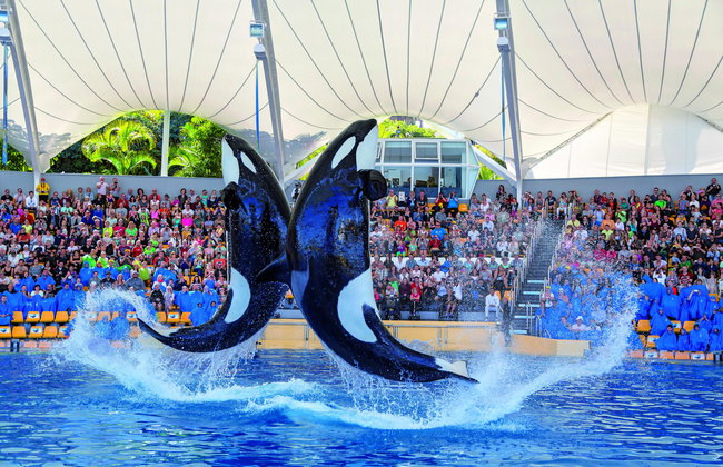 Loro Parque - Photo 2