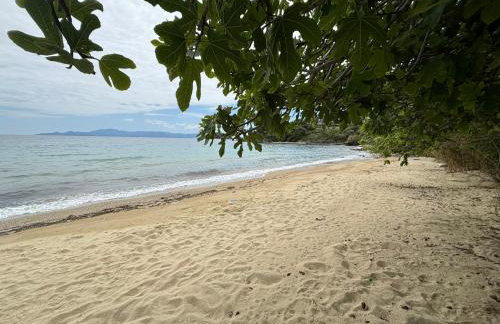 Kiki's House - Foto 17