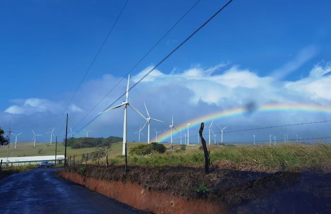 Vistas del Tenorio - Photo 17