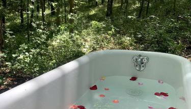 Charming Vacation Rental in a Barn on a Horse Farm near Afton Mountain in Virginia - Foto 5