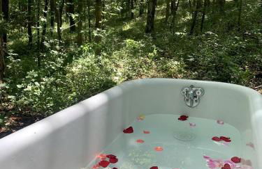 Charming Vacation Rental in a Barn on a Horse Farm near Afton Mountain in Virginia - Foto 5