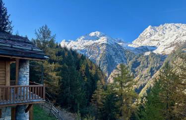 Splendide chalet 10pers, Sainte Foy Station - Foto 1