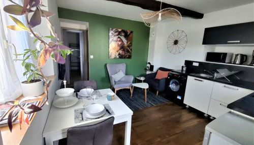 Appartement T2 "JUNGLE" Centre Ville de VITRÉ au calme coté cour - Foto 3