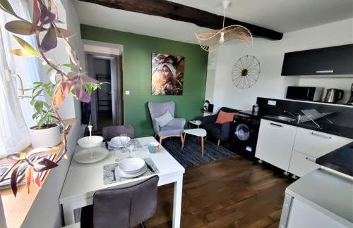 Appartement T2 "JUNGLE" Centre Ville de VITRÉ au calme coté cour - Foto 3