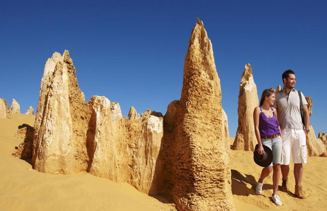 Découvrez la vallée de la Yarra : Bière, vin et chocolat (1 jour) - Photo 1