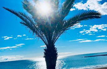 Casita del Toro - Foto 39