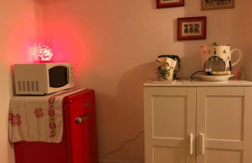 La Casetta en ALSACE - Foto 7