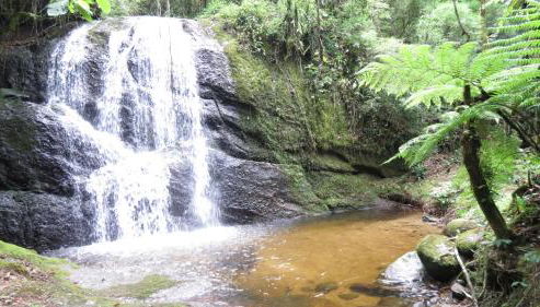 A Morada do Muriqui - Foto 2