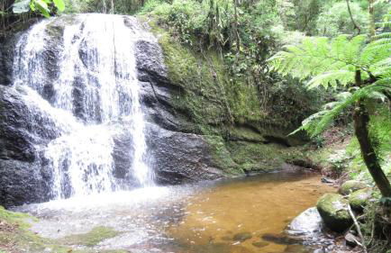 A Morada do Muriqui - Foto 2