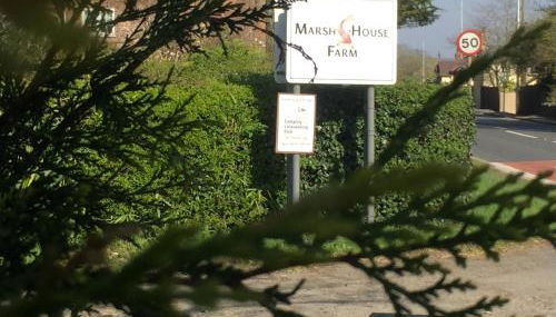 Holly's Lodge - Photo 4