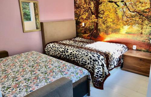 Lindo, no coração de Gramado - Foto 10