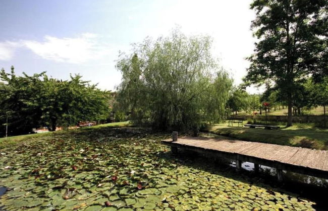 Holiday Home in San Donato With Vineyard Views - Foto 36