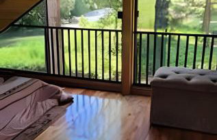 Cabana Pequeno Bosque Refúgio dás Águas - Foto 40