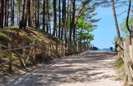 Jodłowe Zacisze - Foto 36