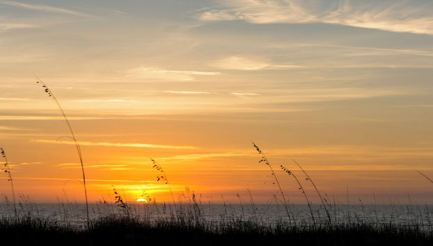 Seaside Villas by by Hilton Head Retreats - Foto 3, Servicios del alojamiento