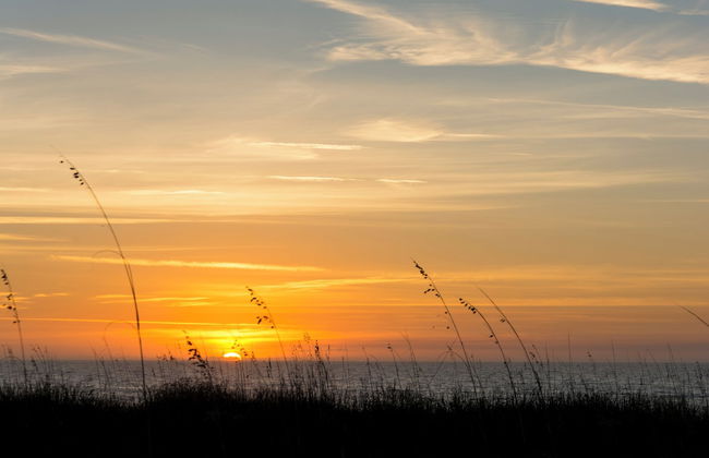 Saint Andrews Common 1774 - Foto 29