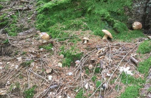 Eco-apartment Valletta - Photo 27