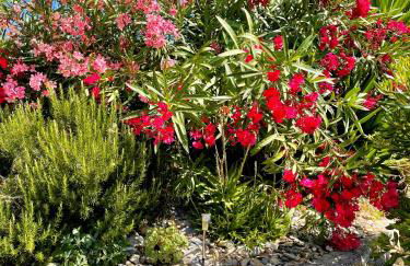 Casa Belvedere - Foto 73