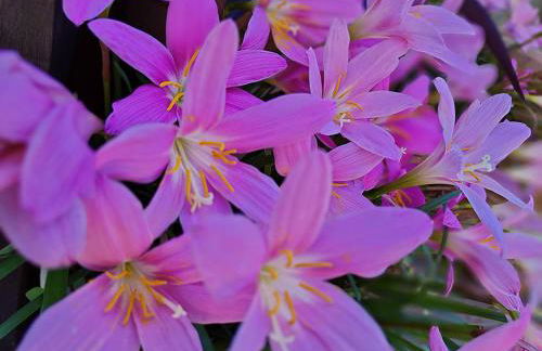 Dimora Porta Venere - Foto 25