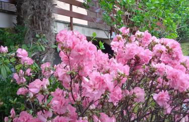 Residenza vista lago mozzafiato - Photo 6