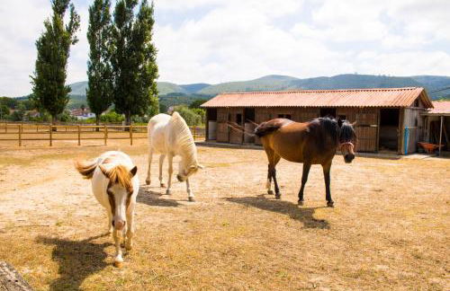 QUINTA DE SANT'ANA - Foto 16
