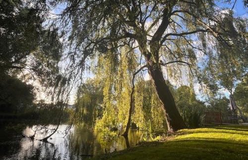 Riverside Studio - Foto 26