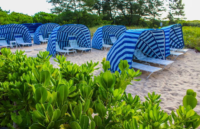 Sand Dune Shores - Foto 29