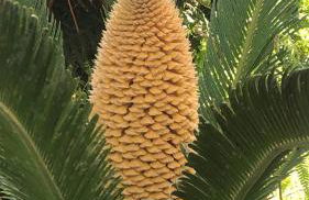 Casa Karina Sun&Pool&Relax - Foto 61