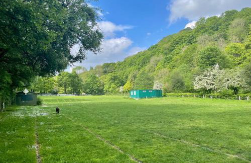 Windsor View - Foto 31