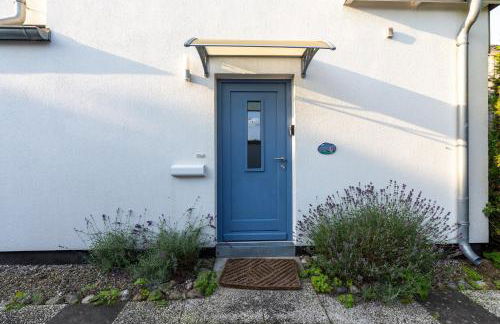 Muschelsucher - Foto 32