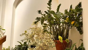 Casa Stella - Foto 3