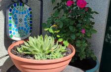 Nika Vacation House - Foto 25