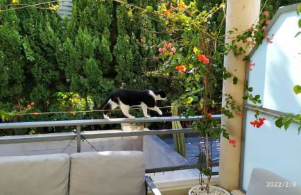 Adosado a 300m de la playa VT-49863-V - Foto 22