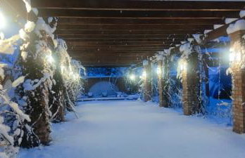 Noclegi Szymrych - Foto 59